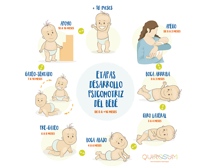 Cómo es la evolución y el desarrollo del bebé de 0 a 6 meses