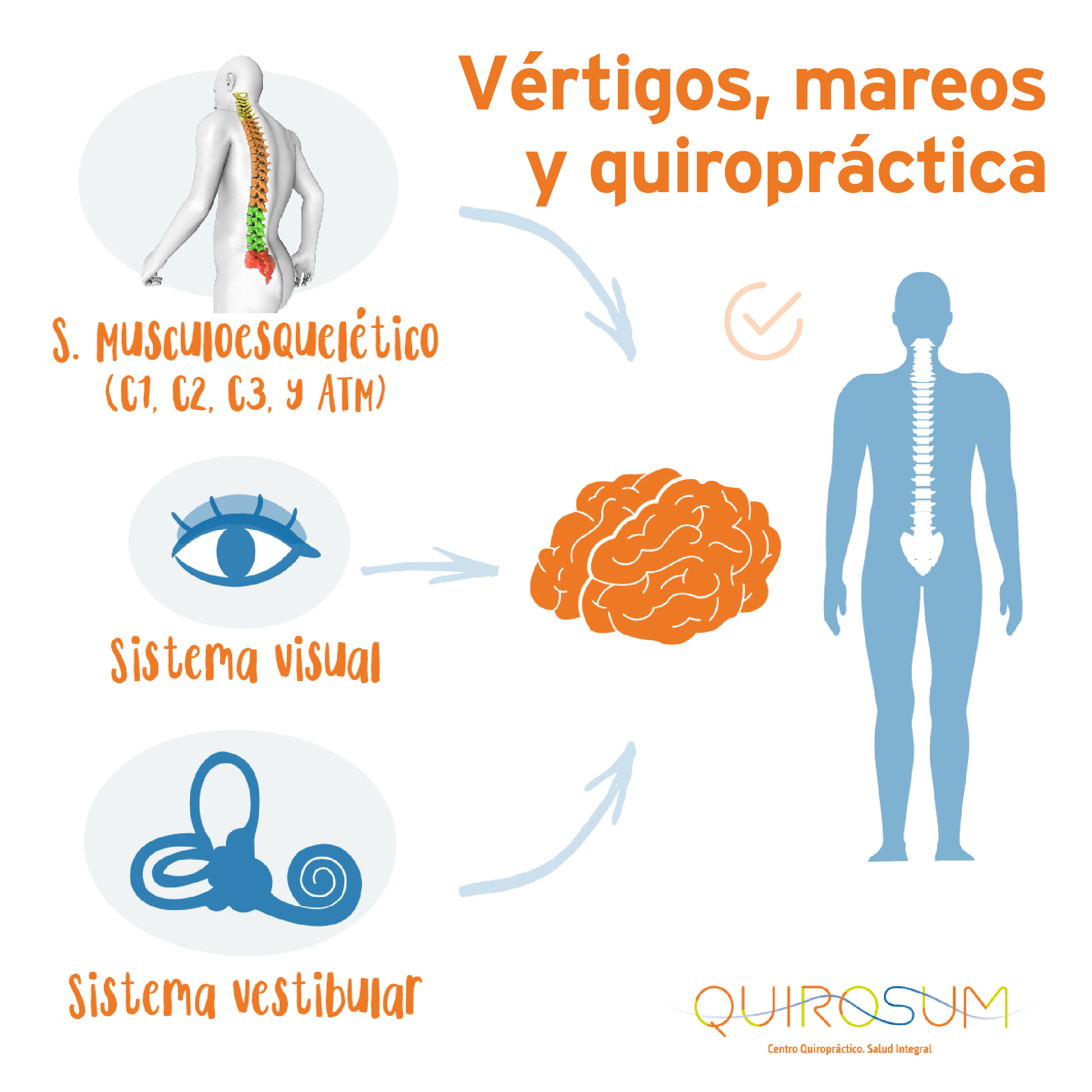 infografia-cerebro-01