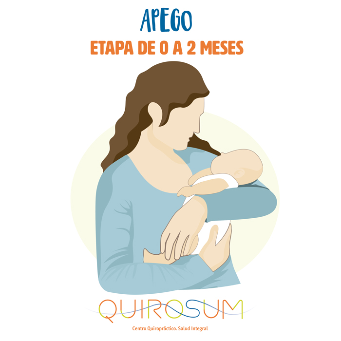 bebé apego