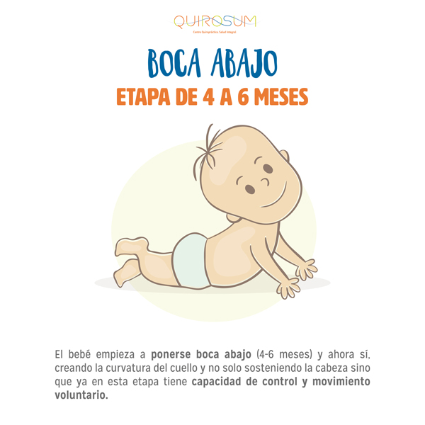 bebé